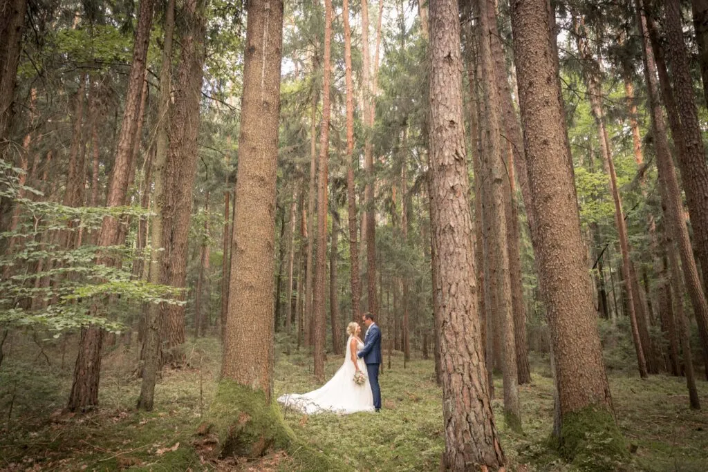 Hochzeitsbilder im Wald vom Hochzeitsfotograf